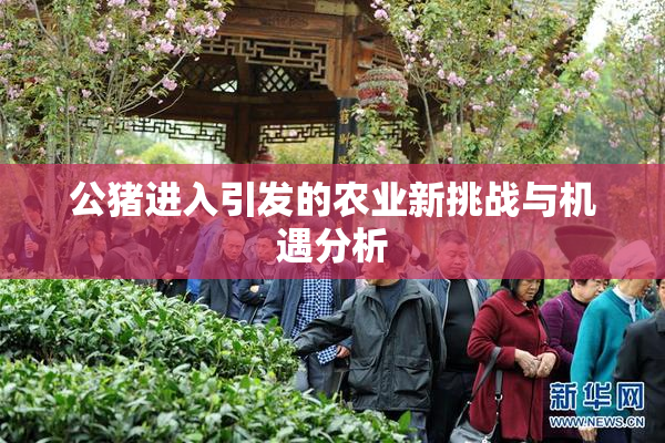 公猪进入引发的农业新挑战与机遇分析