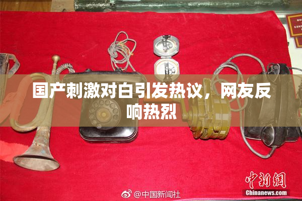 国产刺激对白引发热议，网友反响热烈
