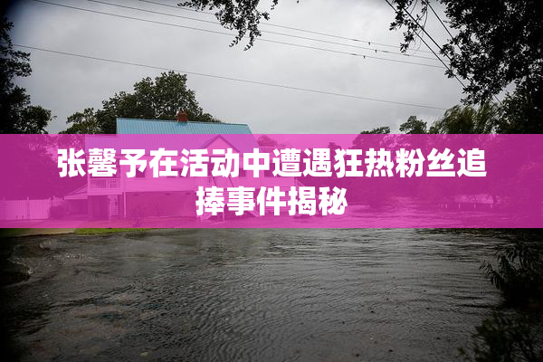 张馨予在活动中遭遇狂热粉丝追捧事件揭秘