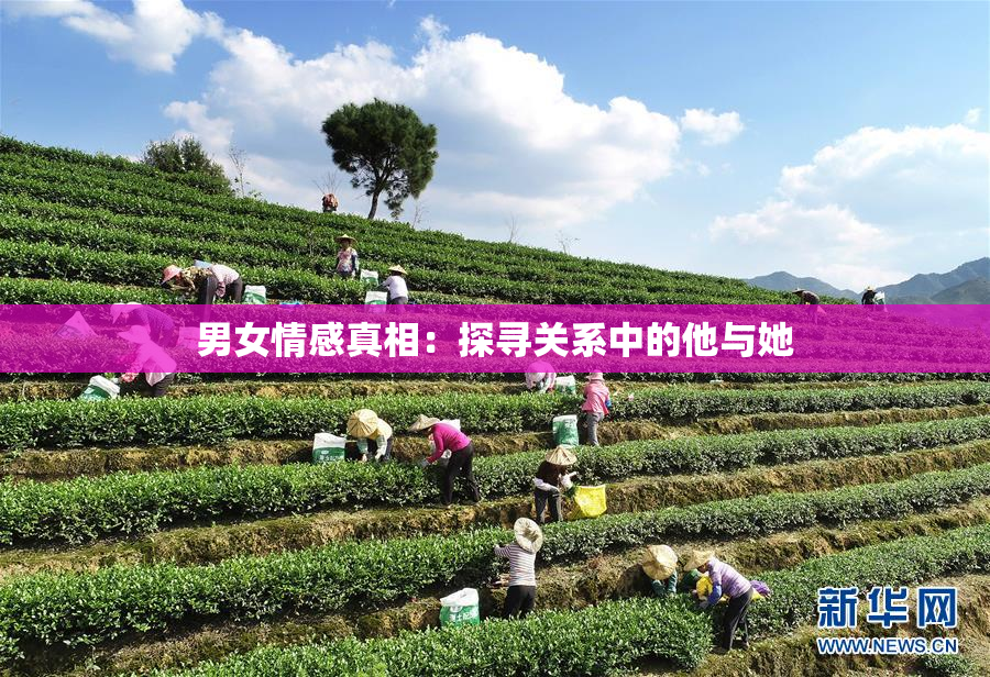 男女情感真相：探寻关系中的他与她