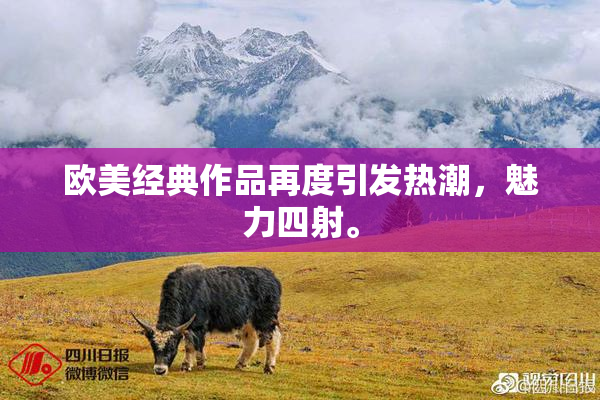 欧美经典作品再度引发热潮，魅力四射。