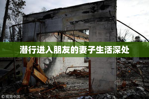 潜行进入朋友的妻子生活深处