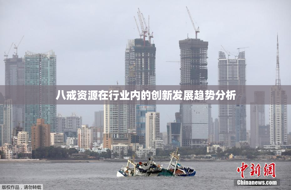 八戒资源在行业内的创新发展趋势分析