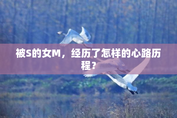 被S的女M，经历了怎样的心路历程？