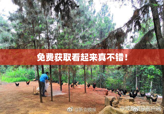 免费获取看起来真不错！