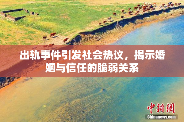 出轨事件引发社会热议，揭示婚姻与信任的脆弱关系