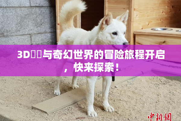 3D姉弚与奇幻世界的冒险旅程开启，快来探索！