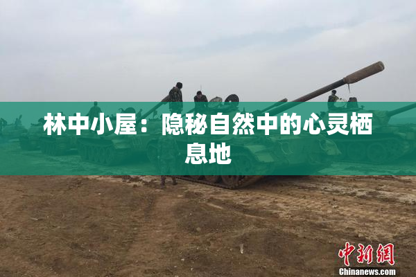 林中小屋：隐秘自然中的心灵栖息地