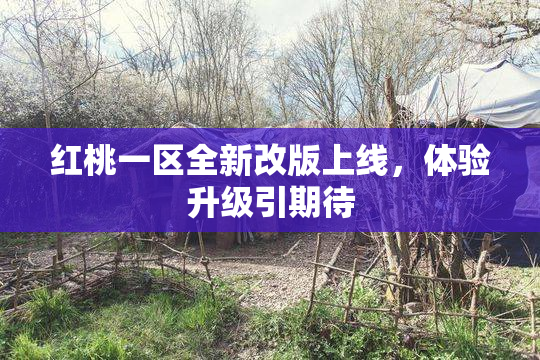 红桃一区全新改版上线，体验升级引期待
