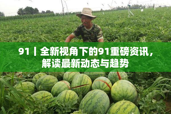 91丨全新视角下的91重磅资讯，解读最新动态与趋势
