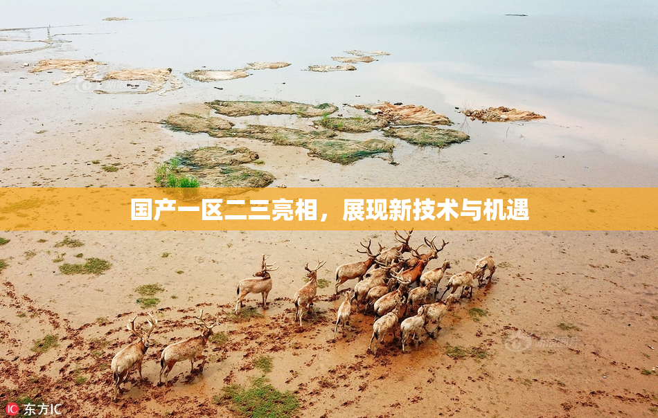 国产一区二三亮相，展现新技术与机遇