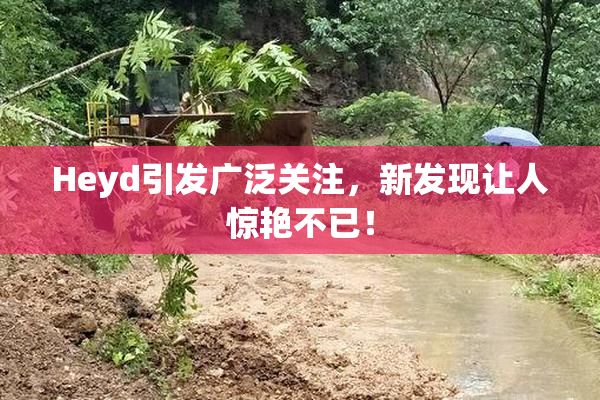 Heyd引发广泛关注，新发现让人惊艳不已！