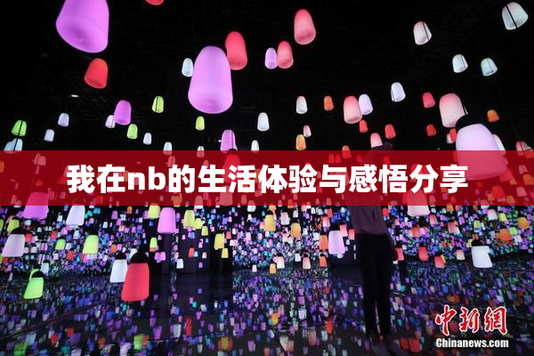 我在nb的生活体验与感悟分享
