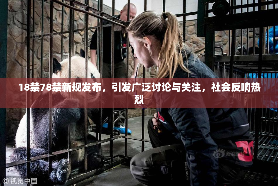 18禁78禁新规发布，引发广泛讨论与关注，社会反响热烈