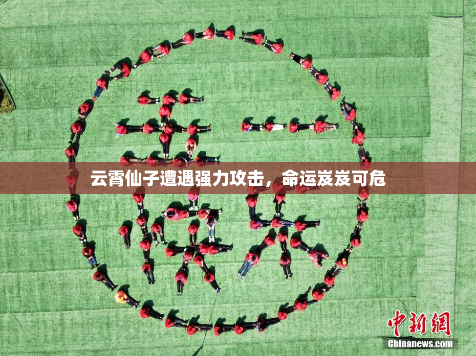 云霄仙子遭遇强力攻击，命运岌岌可危