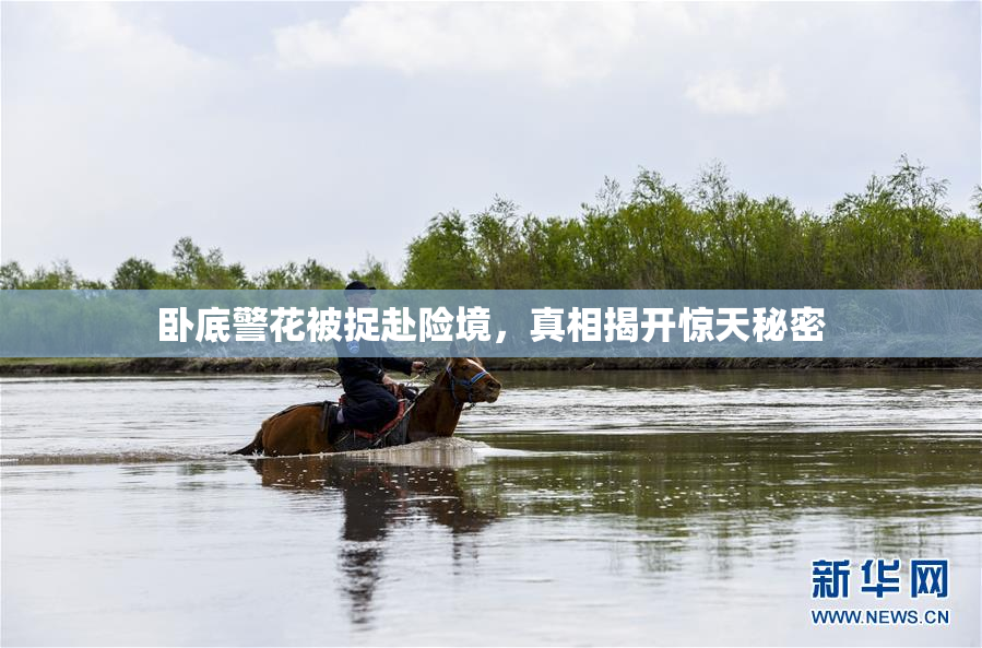 卧底警花被捉赴险境，真相揭开惊天秘密