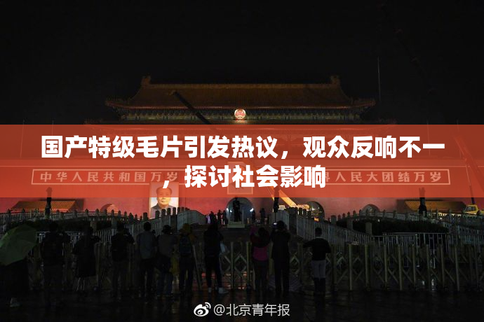 国产特级毛片引发热议，观众反响不一，探讨社会影响