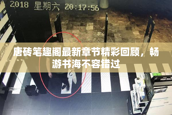 唐砖笔趣阁最新章节精彩回顾，畅游书海不容错过