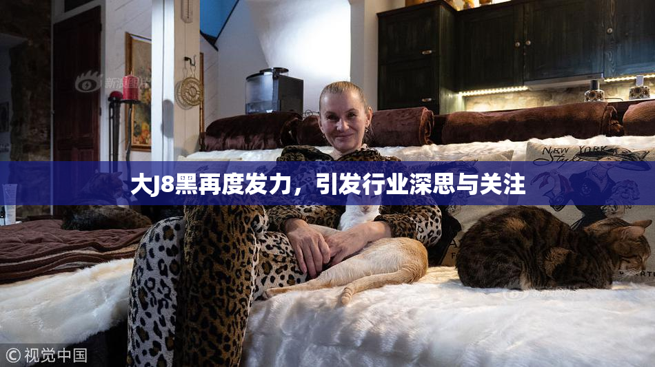 大J8黑再度发力，引发行业深思与关注