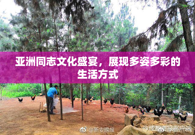 亚洲同志文化盛宴，展现多姿多彩的生活方式