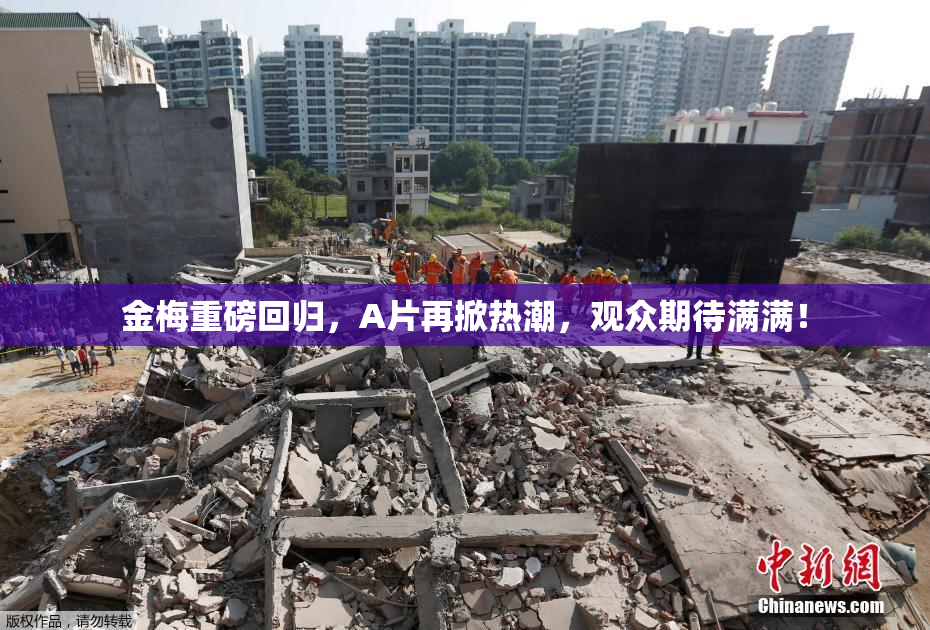 金梅重磅回归，A片再掀热潮，观众期待满满！