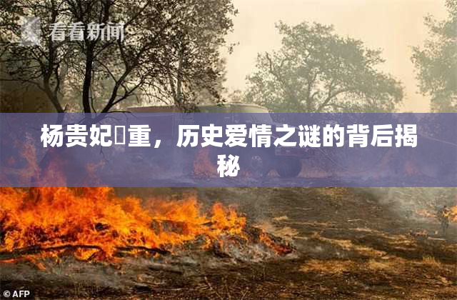 杨贵妃婬重，历史爱情之谜的背后揭秘