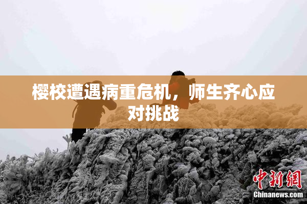 樱校遭遇病重危机，师生齐心应对挑战