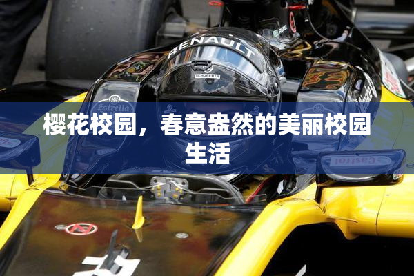 樱花校园，春意盎然的美丽校园生活