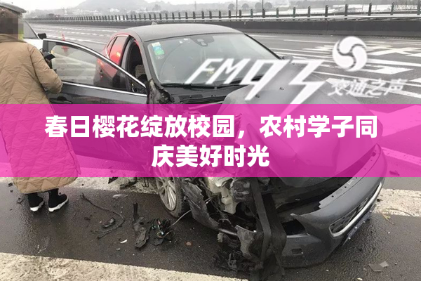 春日樱花绽放校园，农村学子同庆美好时光