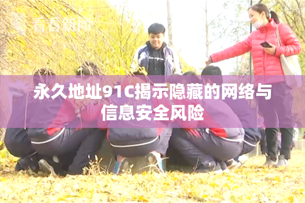 永久地址91C揭示隐藏的网络与信息安全风险