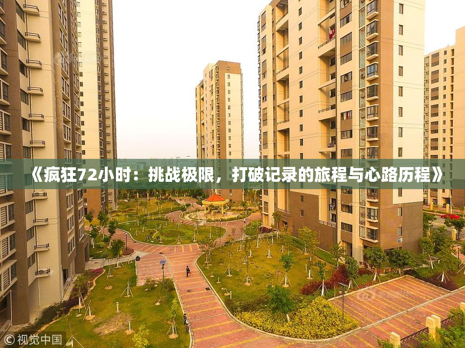 《疯狂72小时：挑战极限，打破记录的旅程与心路历程》