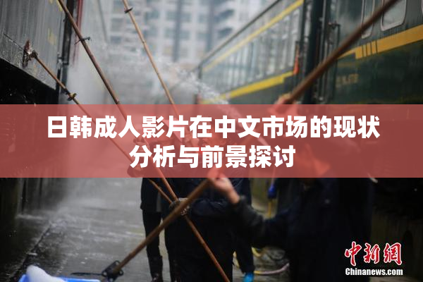 日韩成人影片在中文市场的现状分析与前景探讨