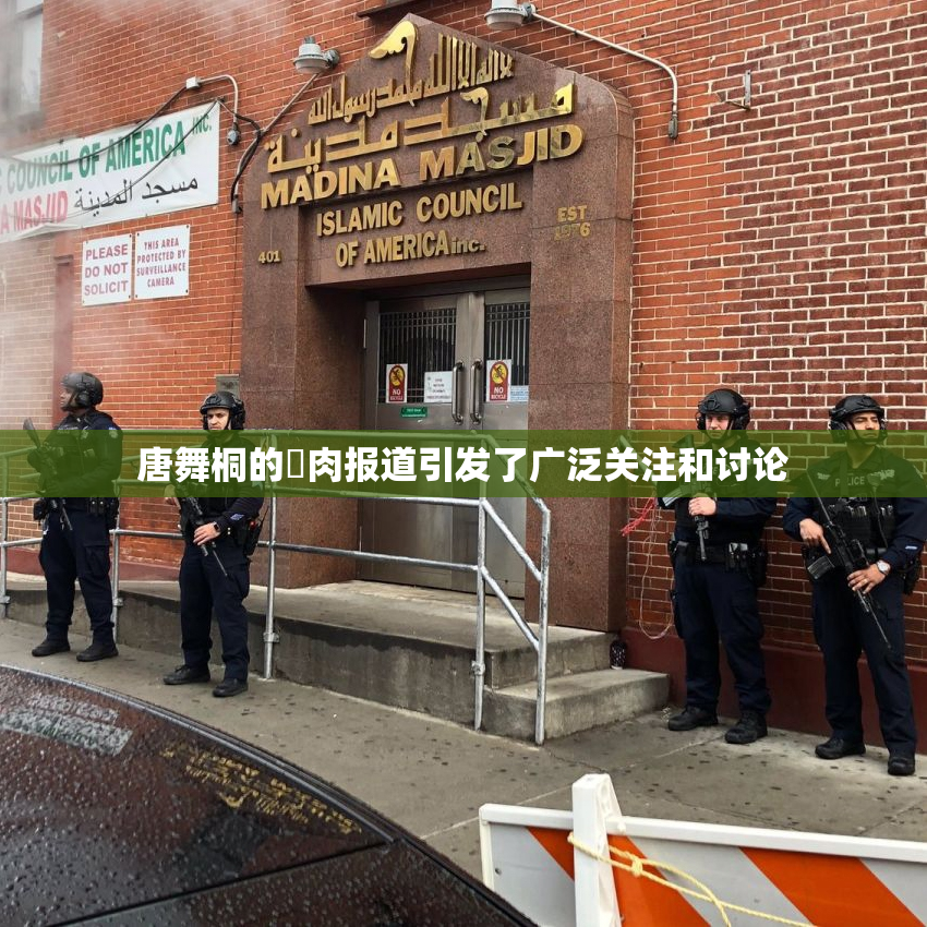 唐舞桐的婬肉报道引发了广泛关注和讨论