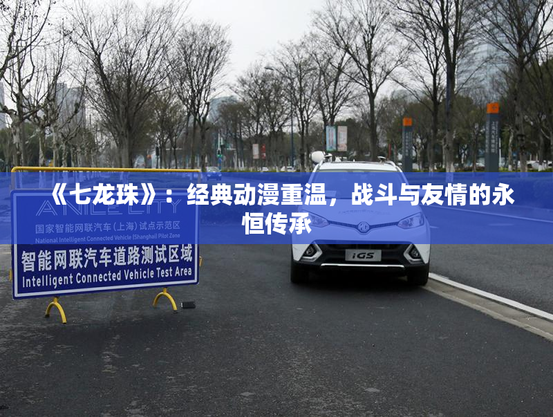《七龙珠》：经典动漫重温，战斗与友情的永恒传承