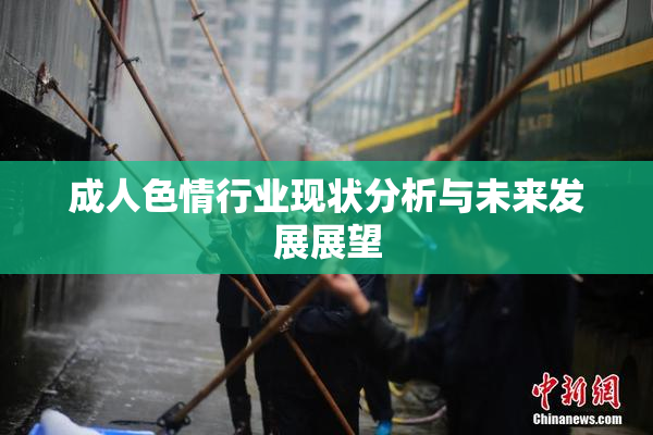 成人色情行业现状分析与未来发展展望