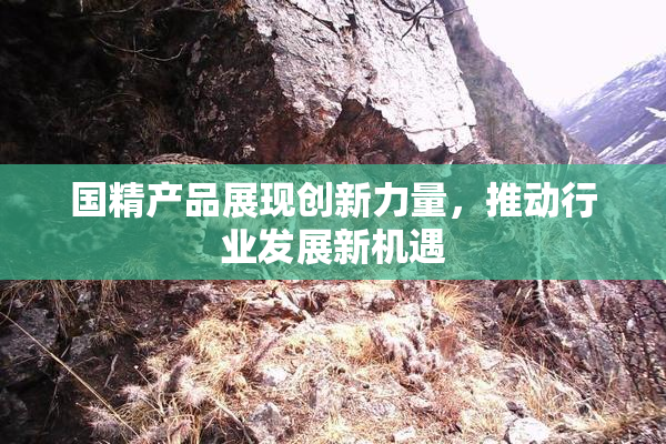 国精产品展现创新力量，推动行业发展新机遇