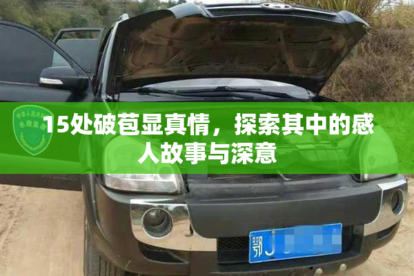15处破苞显真情，探索其中的感人故事与深意