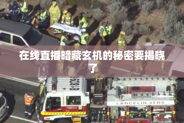 在线直播暗藏玄机的秘密要揭晓了