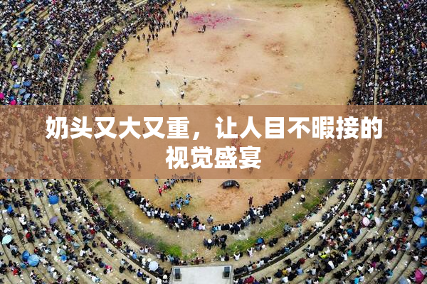 奶头又大又重，让人目不暇接的视觉盛宴