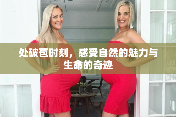 处破苞时刻，感受自然的魅力与生命的奇迹