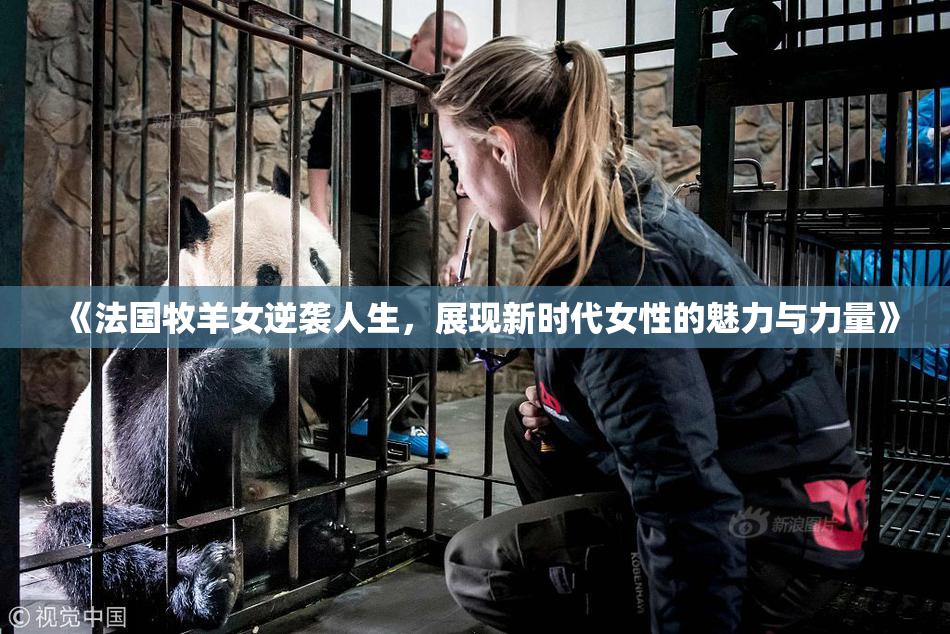 《法国牧羊女逆袭人生，展现新时代女性的魅力与力量》