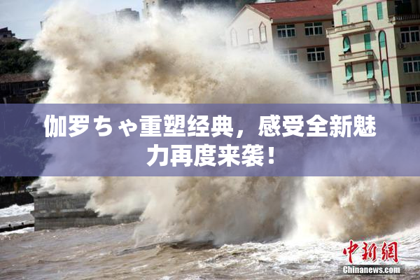 伽罗ちゃ重塑经典，感受全新魅力再度来袭！
