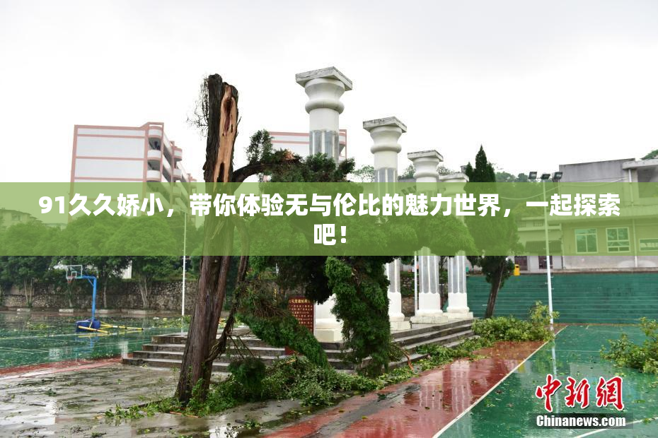 91久久娇小，带你体验无与伦比的魅力世界，一起探索吧！