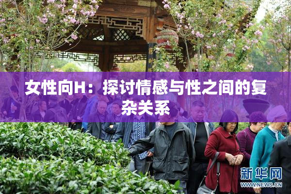 女性向H：探讨情感与性之间的复杂关系