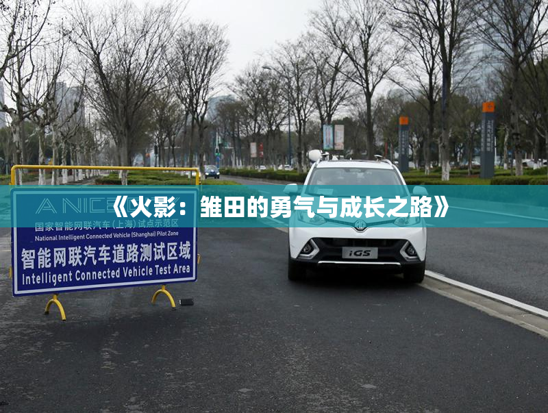 《火影：雏田的勇气与成长之路》