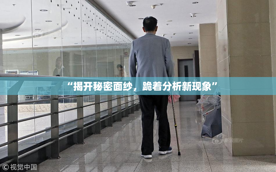 “揭开秘密面纱，跪着分析新现象”