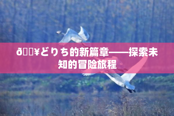 🔥どりち的新篇章——探索未知的冒险旅程