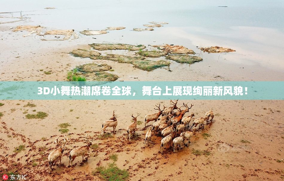 3D小舞热潮席卷全球，舞台上展现绚丽新风貌！