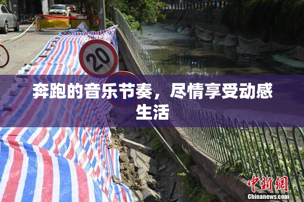 奔跑的音乐节奏，尽情享受动感生活