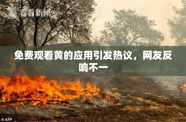 免费观看黄的应用引发热议，网友反响不一